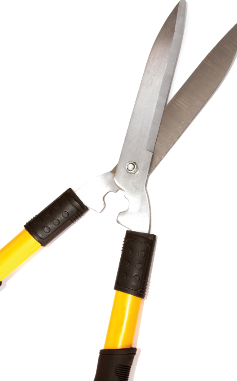 M&A Review 07-08/2019