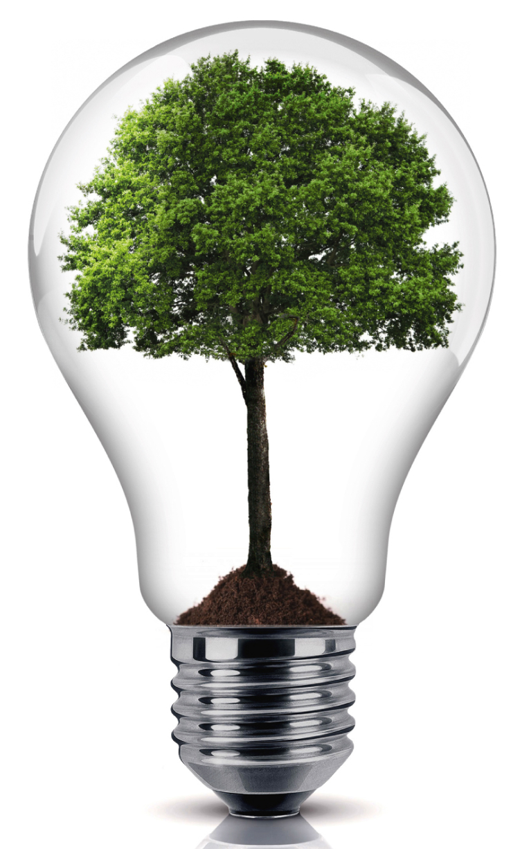 M&A Review 01-02/2019