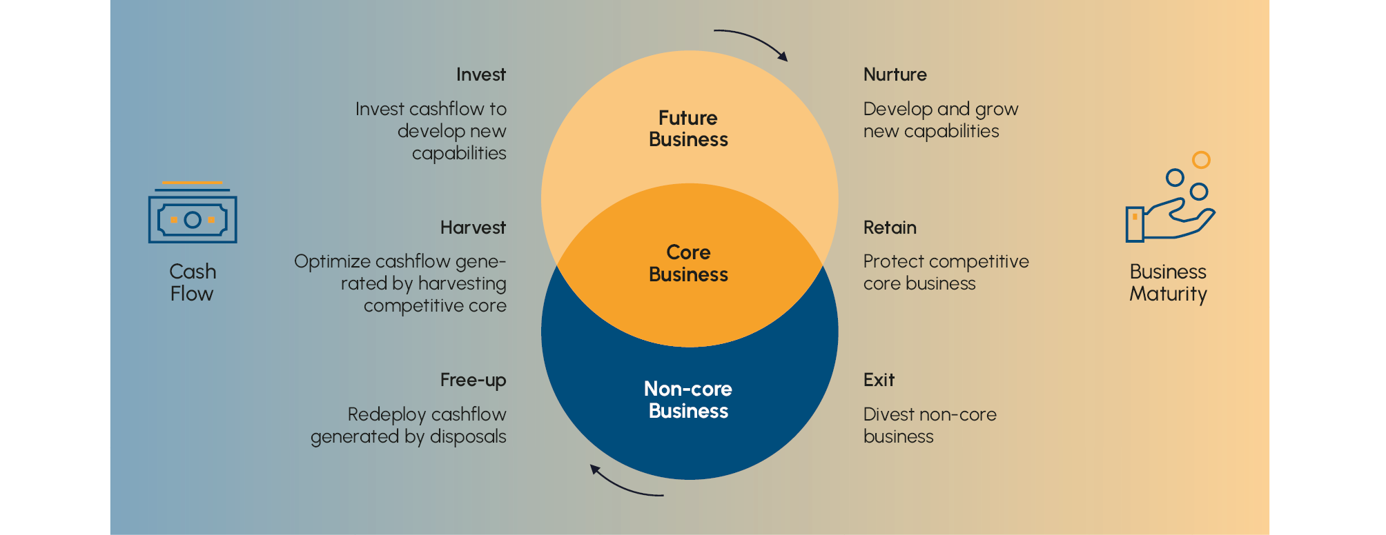 Fig. 3 The business maturity usually evolves from future via core to non-core business and inverse to cash flows