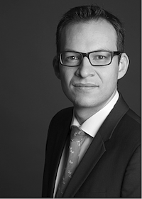 Prof. Dr. Niklas B. Homfeldt