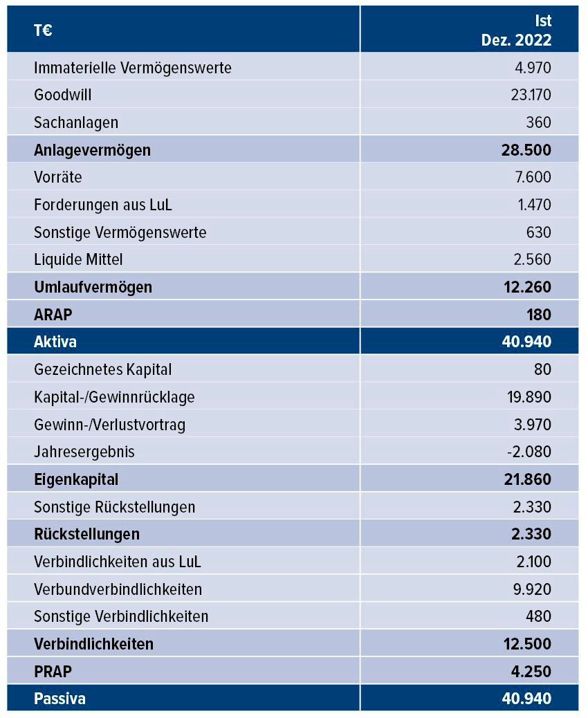 Tab. 6 &bull; Bilanz eines Beispielunternehmens [2] als Grundlage f&uuml;r die Quantifizierung der Finanzverbindlichkeit