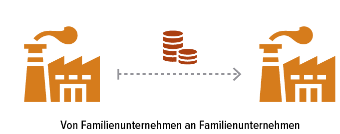 Abb. 1 Darstellung Family Equity